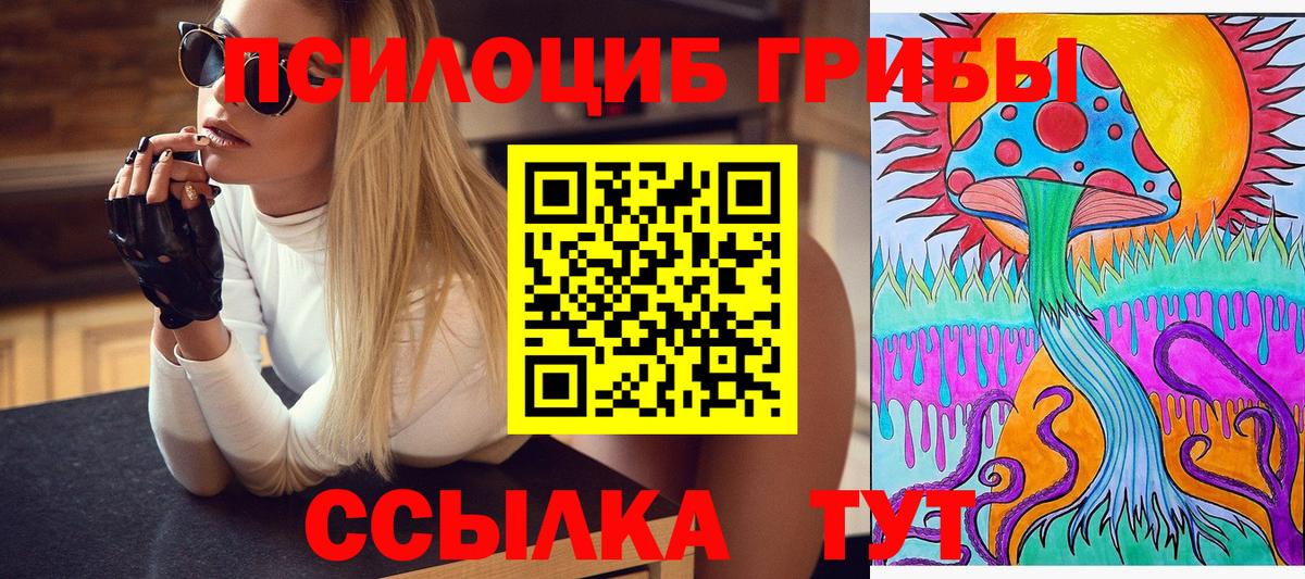 Псилоцибиновые грибы Psilocybine cubensis Саянск